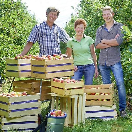 Appartamento Winzerhof Woerner Durbach Esterno foto