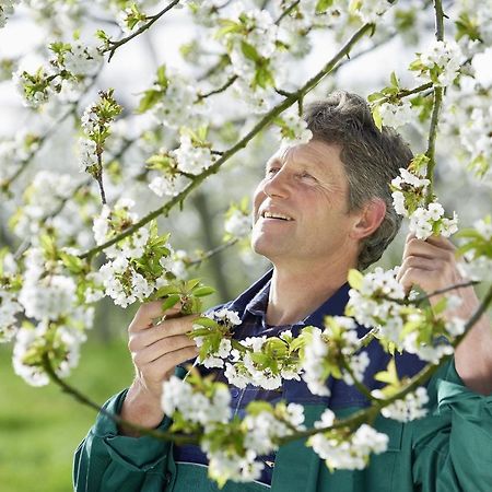 Appartamento Winzerhof Woerner Durbach Esterno foto