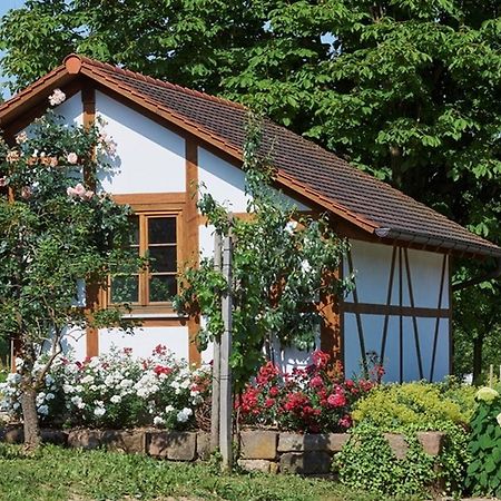 Appartamento Winzerhof Woerner Durbach Esterno foto