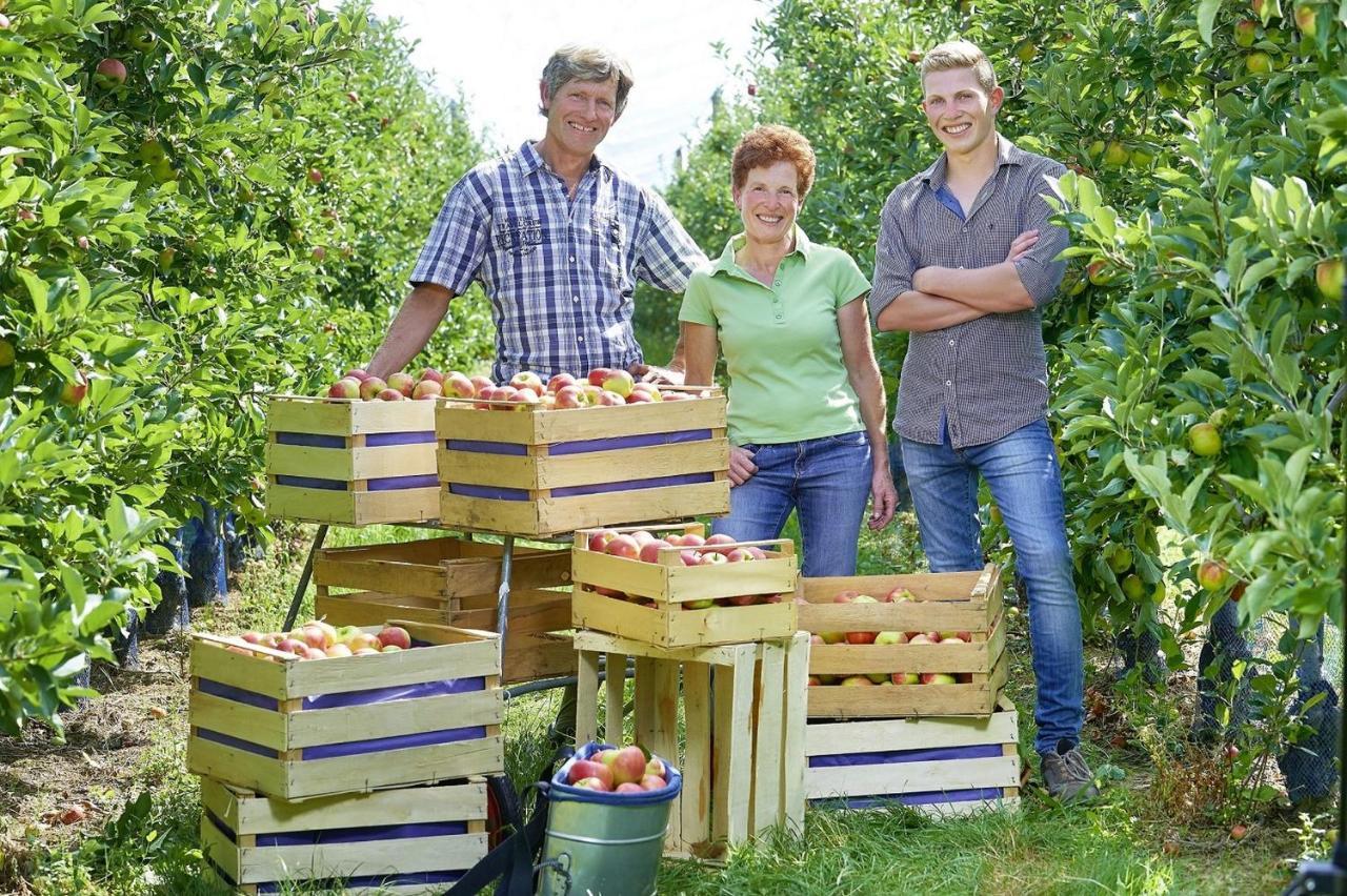 Appartamento Winzerhof Woerner Durbach Esterno foto