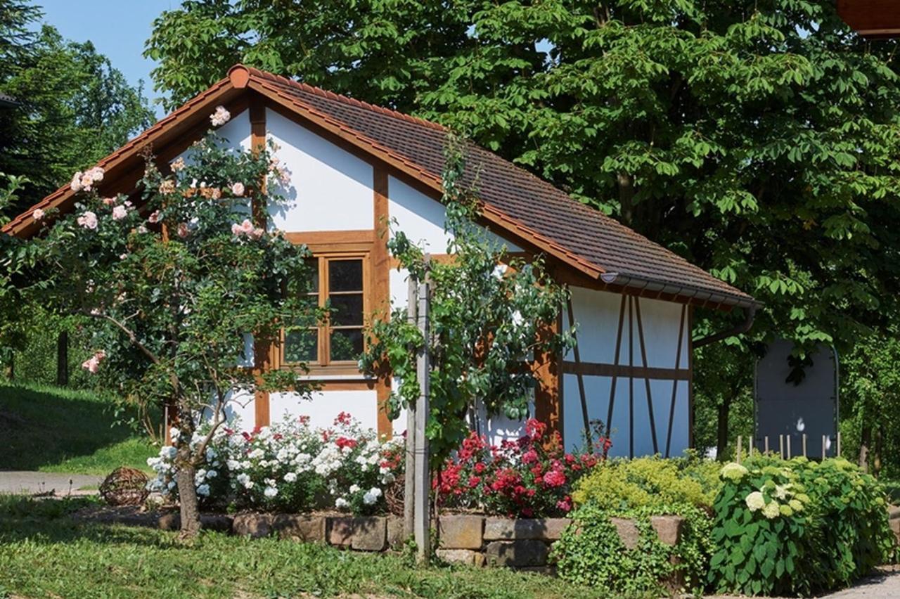 Appartamento Winzerhof Woerner Durbach Esterno foto